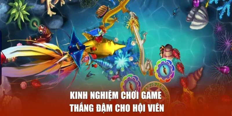 Kinh nghiệm chơi game thắng đậm cho hội viên